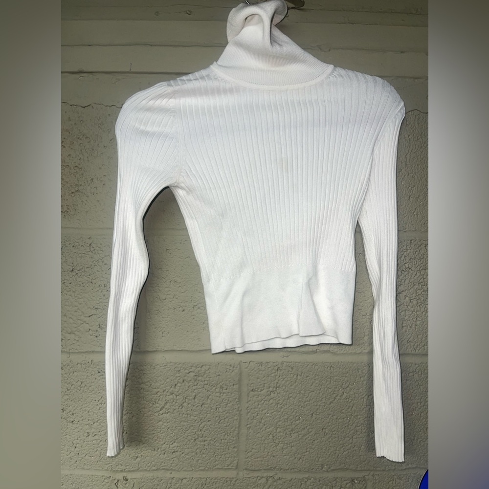 Zara turtleneck top